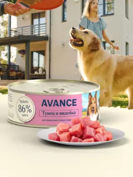 Холистики AVANCE holistic консервы