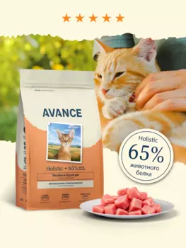 Холистики AVANCE holistic