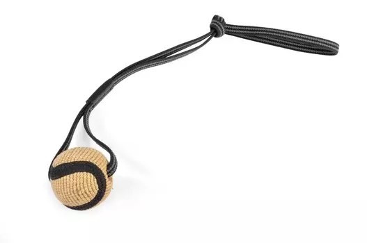 Camon игрушка для собак мяч джутовый для дрессировки с длинной ручкой (244 г)