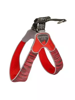 Ошейники, шлейки Cortina