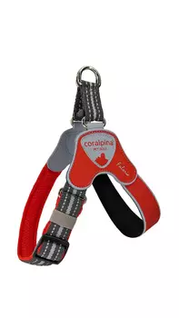 Ошейники, шлейки Cortina