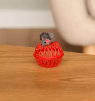 Для дома PETSHOP