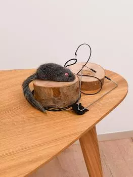 Дразнилки PETSHOP