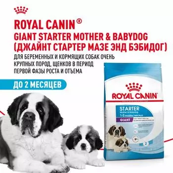 Еда Royal Canin
