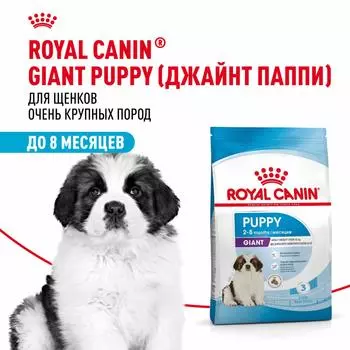 Еда Royal Canin