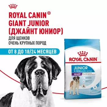 Еда Royal Canin