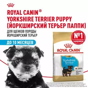 Еда Royal Canin