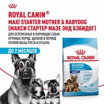 Еда Royal Canin