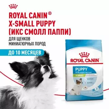 Еда Royal Canin