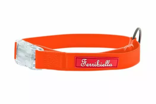 Ошейники, шлейки Ferribiella аксессуары