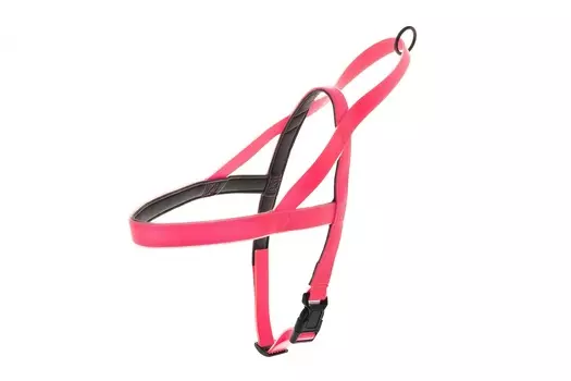 Ошейники, шлейки Ferribiella аксессуары