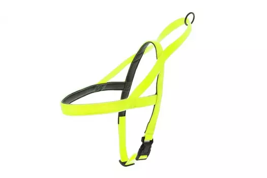 Ошейники, шлейки Ferribiella аксессуары