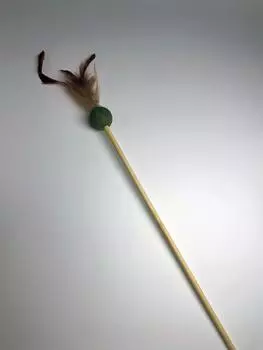 Для дома PETSHOP