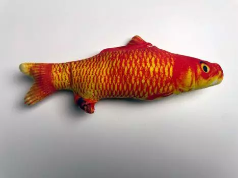 Для дома PETSHOP