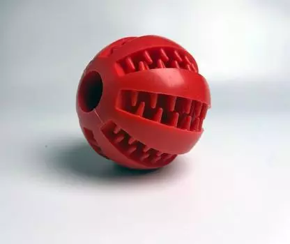 Для дома PETSHOP