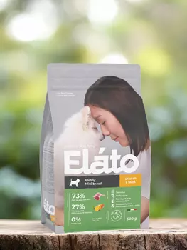Холистики Elato