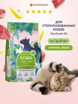 Холистики FLORIDA