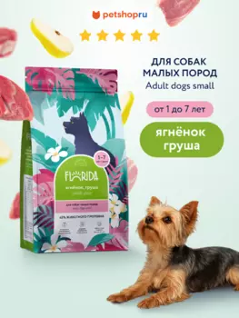 Холистики FLORIDA