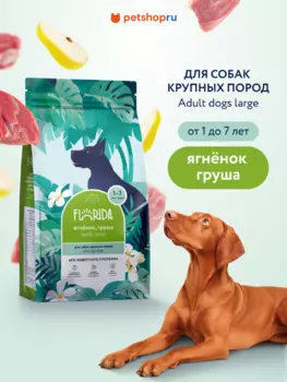 Холистики FLORIDA