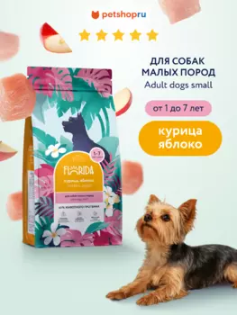 Холистики FLORIDA