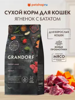 Холистики Grandorf