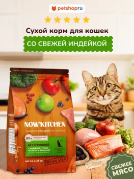 Холистики NOW'KITCHEN