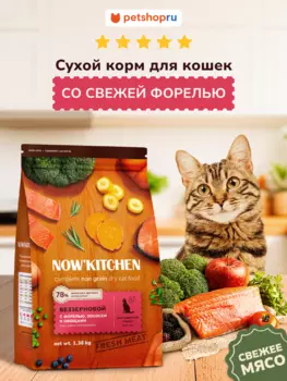Холистики NOW'KITCHEN