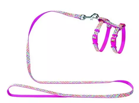 Ошейники, шлейки Hunter