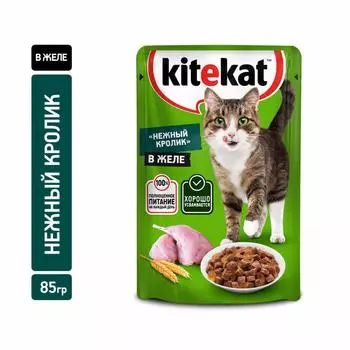 Консервы, паучи Kitekat