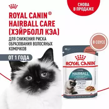 Консервы, паучи Royal Canin паучи