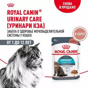 Консервы, паучи Royal Canin паучи