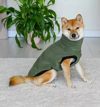 Для прогулок Lelap одежда