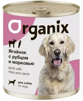 Консервы, паучи Organix консервы