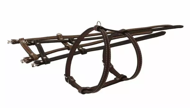 Ошейники, шлейки Yami Yami амуниция