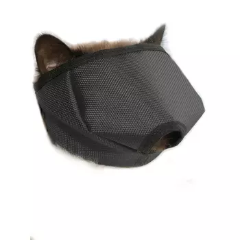 Лекарственные препараты OSSO