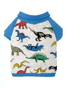 Для прогулок OSSO