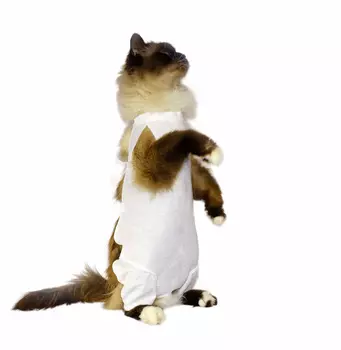 Лекарственные препараты OSSO