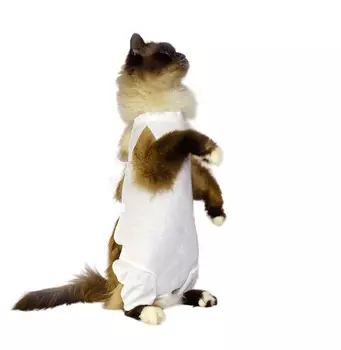 OSSO послеоперационнная попона (№2)