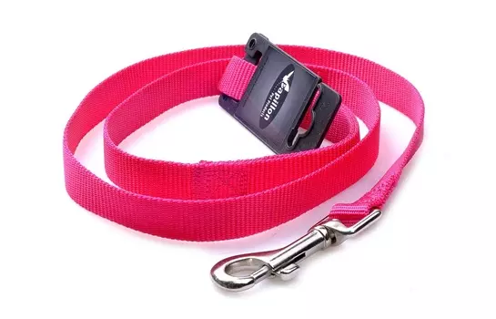 Ошейники, шлейки Papillon