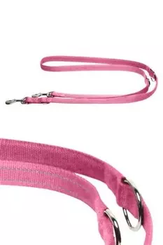 Ошейники, шлейки Papillon