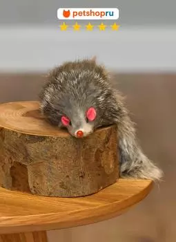 Для дома PETSHOP