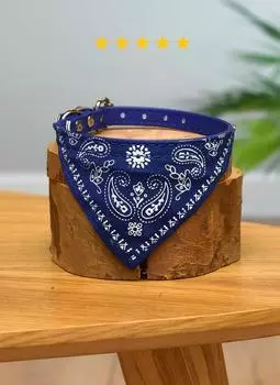 Ошейники, шлейки PETSHOP