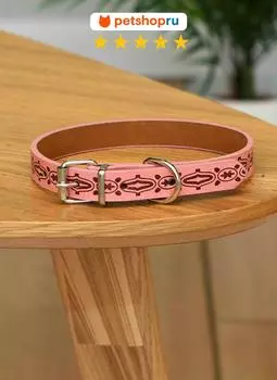 Ошейники, шлейки PETSHOP