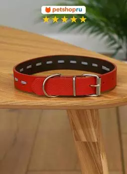 Ошейники, шлейки PETSHOP