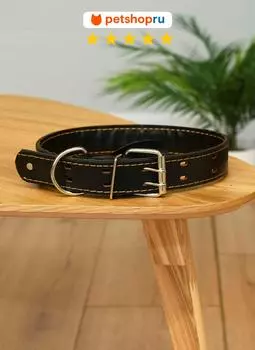 Ошейники, шлейки PETSHOP