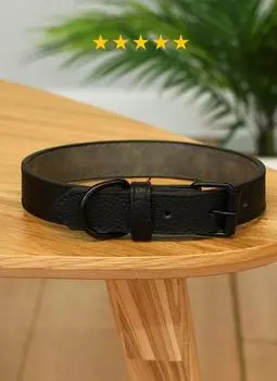 Ошейники, шлейки PETSHOP