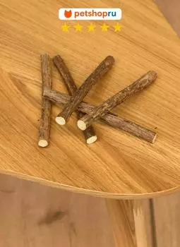 Для дома PETSHOP