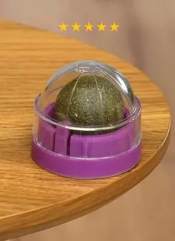 Для дома PETSHOP