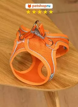 Ошейники, шлейки PETSHOP