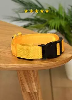 Ошейники, шлейки PETSHOP